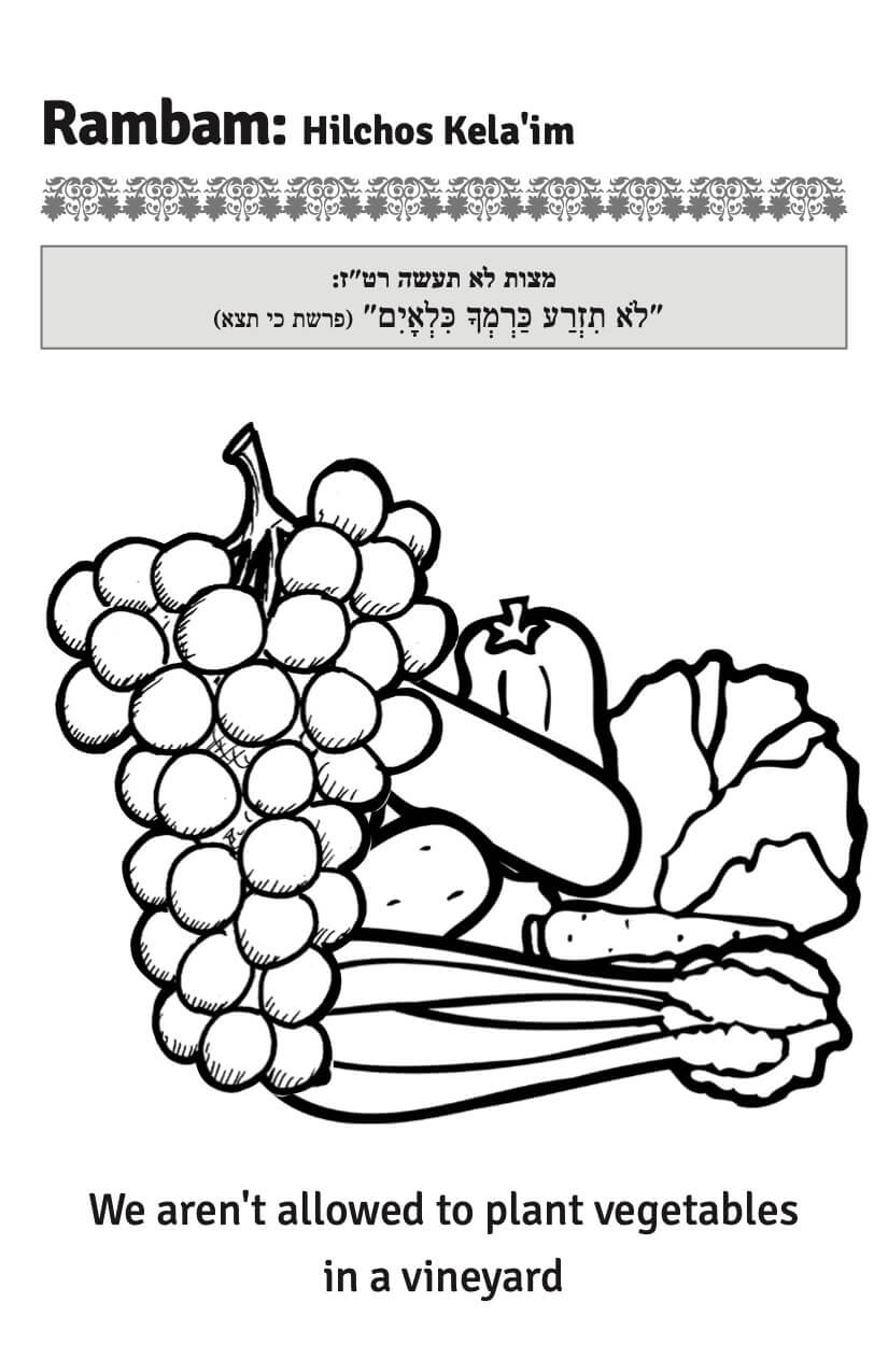 color now!