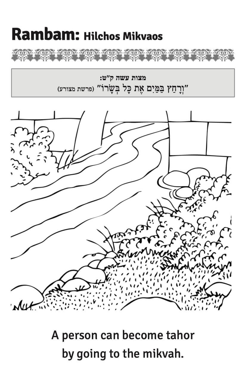 color now!